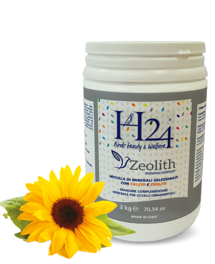 Zeolith