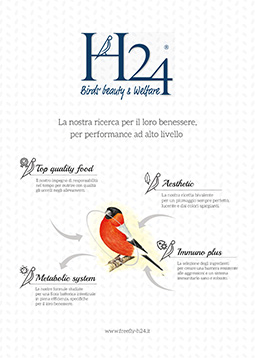 Ebook freefly-H24