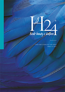 Catalogo FreeFly-h24